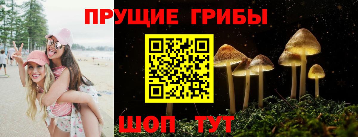 Галлюциногенные грибы GOLDEN TEACHER  Вход с VPN  Россошь 