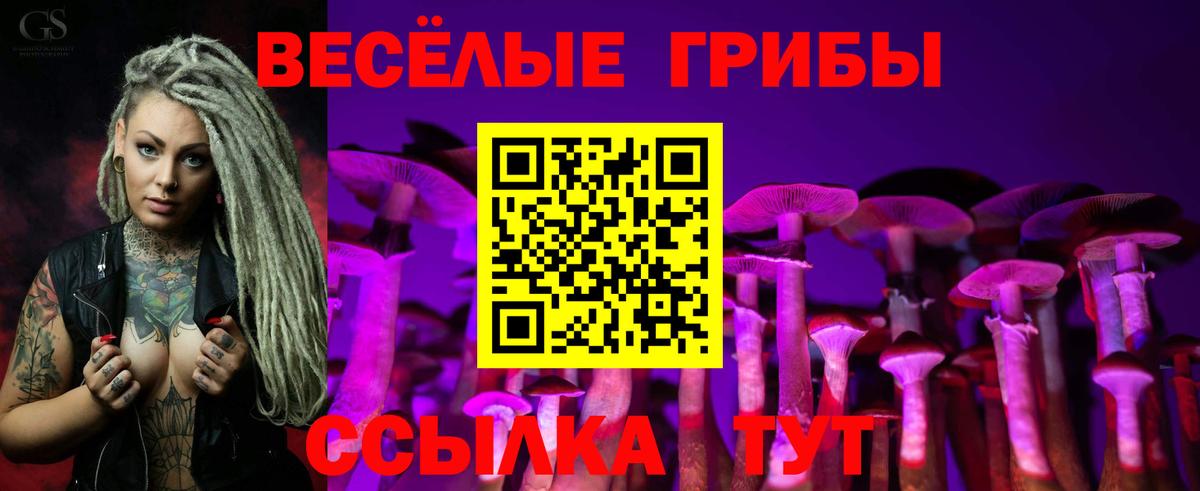 Галлюциногенные грибы прущие грибы Россошь